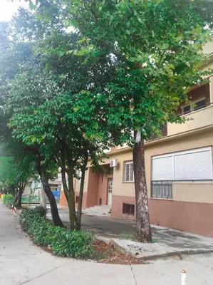 a group of trees in front of a building at Center 1 Podgorica in Podgorica