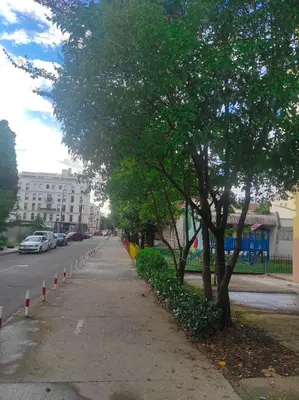 a sidewalk with trees on the side of a street at Center 1 Podgorica in Podgorica