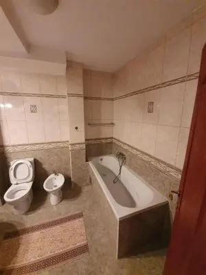 a bathroom with a toilet and a bath tub and a toilet sidx sidx at BLUE EYES SAILORS in Kotor