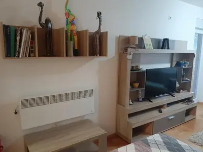a living room with a television and a shelf with books at Apartment Ana in Budva