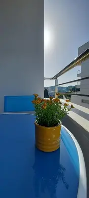 a yellow pot sitting on a blue table with a plant at Artemis Apartment in Ulcinj