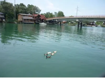 three ducks swimming in the water near a bridge at Artemis Apartment in Ulcinj
