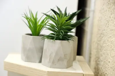 two plants in concrete pots sitting on a shelf at Apartment Alexandar in Podgorica