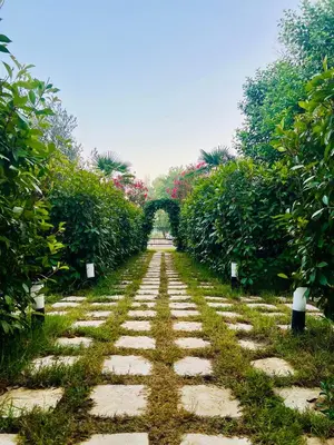 a stone path in the middle of a garden at Garden Villas in Donji Štoj