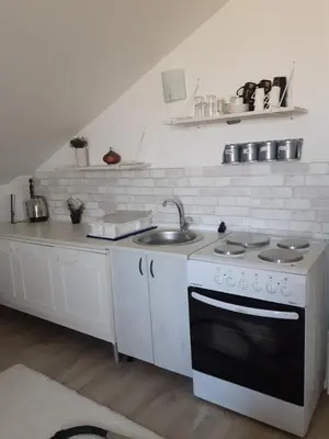 a kitchen with a stove and a sink at Prima House in Podgorica