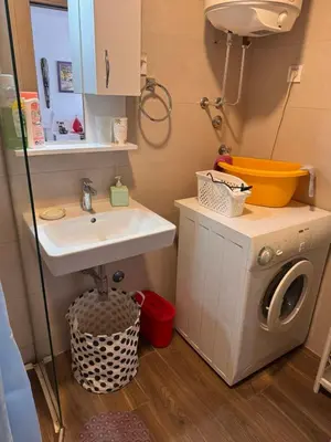 a bathroom with a sink and a washing machine at Flower and Love Flat Next to centar of podgorica in Podgorica