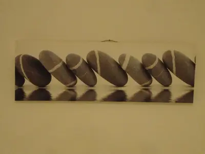 a row of five rocks on a wall at Centre Point Apartment in Podgorica