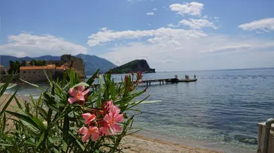 a view of a body of water with pink flowers at Villa Stanivukovic in Budva