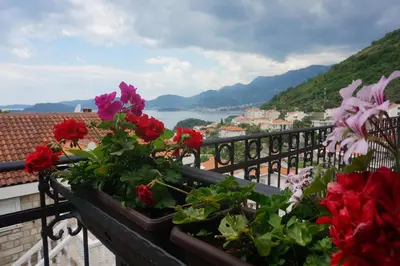 a balcony with flowers and a view of a city at Apartments Muhar in Sveti Stefan