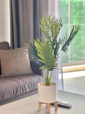 a potted plant sitting on a table in a living room at Horizon Residences Andjela in Budva