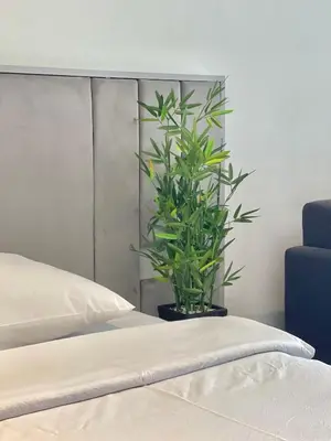 a green plant sitting next to a bed at Horizon Residences Andjela in Budva