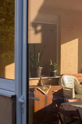 a room with a table and two potted plants at Villa Pari Apartment in Kotor