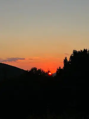 a sunset over a hill with trees in the foreground at Villa Pari Apartment in Kotor