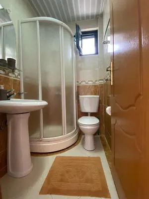 a bathroom with a shower and a toilet and a sink at Villa Lutovac Budva in Budva