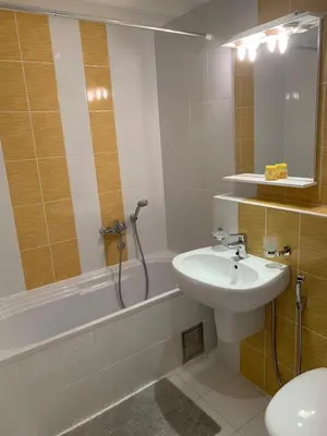 a bathroom with a sink and a toilet and a tub at Panorama Bar 2 bedroom in Bar