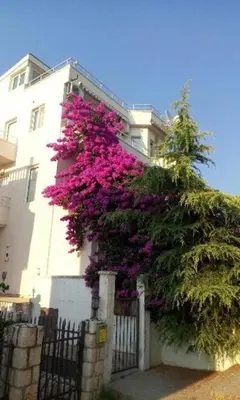 a building with purple flowers on the side of it at Villa Lyudmila in Utjeha
