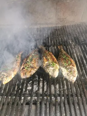 a group of food cooking on a grill at Apartments Djedovic 2 in Petrovac na Moru