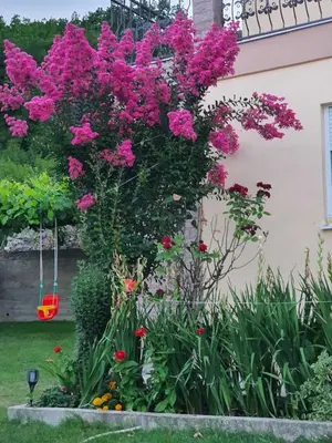 a garden with pink flowers and a swing at Village house DUNJA in Virpazar