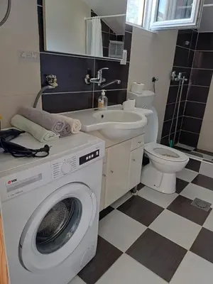 a bathroom with a washing machine and a sink at Apartman Balsa in Kotor