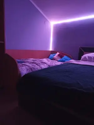 a room with a bed with a purple light on it at Apartman Balsa in Kotor