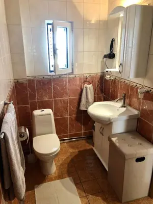 a bathroom with a toilet and a sink at Petrovac Holiday apartments 1 in Petrovac na Moru