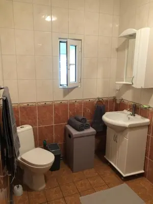 a bathroom with a toilet and a sink at Petrovac Holiday Apartments 2 in Petrovac na Moru