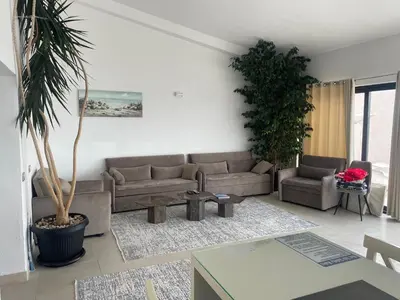 a living room with a couch and a palm tree at Apartments Plaza in Ulcinj