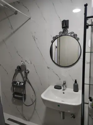 a bathroom with a sink and a mirror at Blue Apartment Riverside in Podgorica