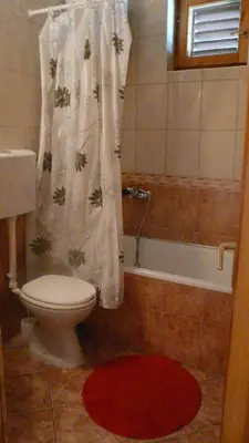 a bathroom with a toilet and a shower curtain at Guest house Živković in Sveti Stefan