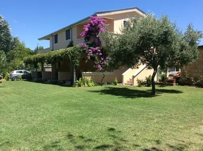 a house with a tree with purple flowers on it at Niki Apartments in Ulcinj