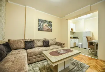 a living room with a couch and a table at Apartman Centar 2 in Podgorica