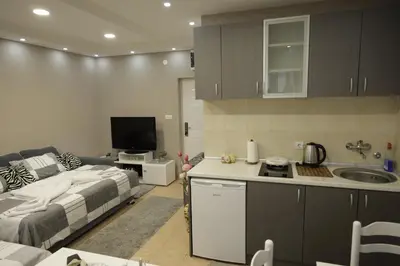 a kitchen and a living room with a couch and a kitchen and a living room at Apartment Alexandra in Budva