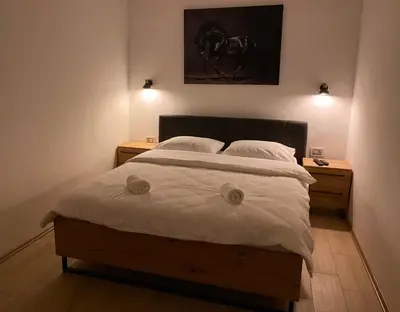 a bedroom with a large bed with two night stands at OM Apartment in Podgorica