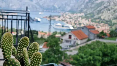 a cactus on a balcony with a view of a city at Anastasija 2 in Kotor