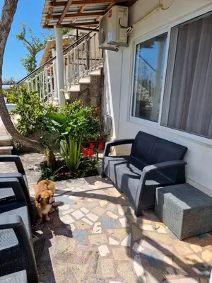 a dog standing on a patio with a couch and chairs at Apartman LOKI in Ulcinj