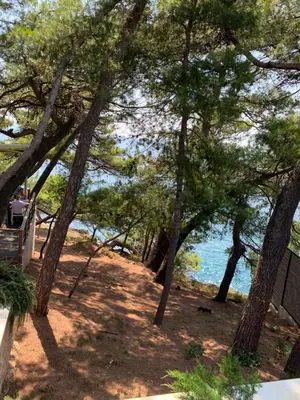 a view of the ocean through a group of trees at Apartman A2 in Ulcinj