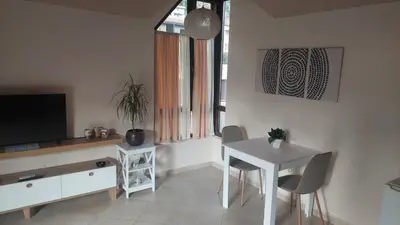 a living room with a table and a television at Mila's studio in Kotor