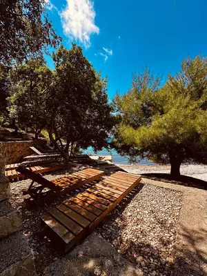a group of logs sitting on the ground next to trees at Beach Bliss in Utjeha
