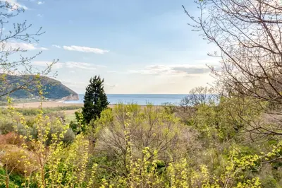 a view of the ocean from a field with trees at SAVOVIC_LUX in Petrovac na Moru