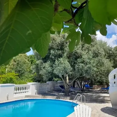 Villa Dedin