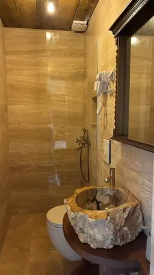 a bathroom with a stone sink and a toilet at OLIVE QUEEN Rustic Estate in Bar