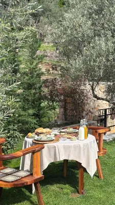 a picnic table with food on it with two benches at OLIVE QUEEN Rustic Estate in Bar