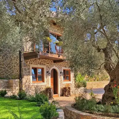 OLIVE QUEEN Rustic Estate