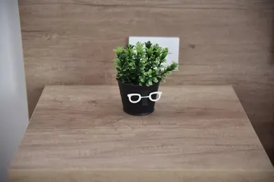 a potted plant with glasses sitting on a table at Apartments kupi ul rudaj 41 in Ulcinj