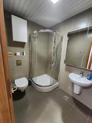 a bathroom with a shower and a toilet and a sink at City life in Podgorica