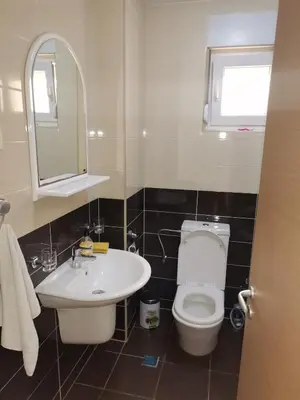 a bathroom with a toilet and a sink and a mirror at Maša Bečići Apartman in Budva