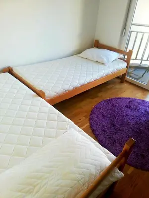 two beds in a room with a purple rug at Maša Bečići Apartman in Budva