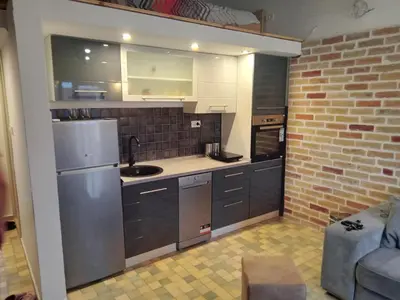 a kitchen with stainless steel appliances and a brick wall at Budva stan Natasa in Budva