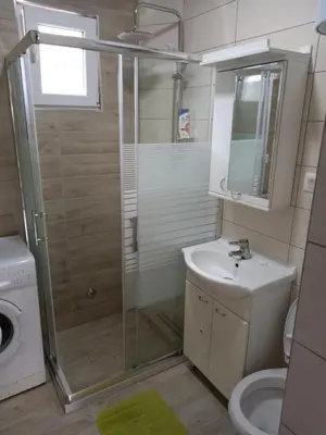 a bathroom with a shower and a toilet and a sink at Stan u maslinama in Podgorica