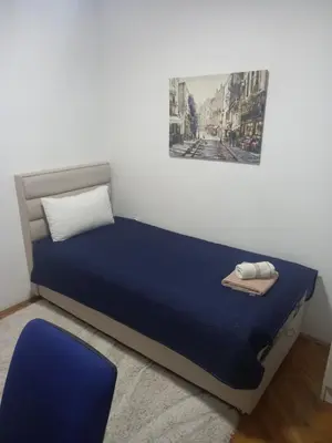 a bedroom with a blue bed and a picture on the wall at Stan u maslinama in Podgorica